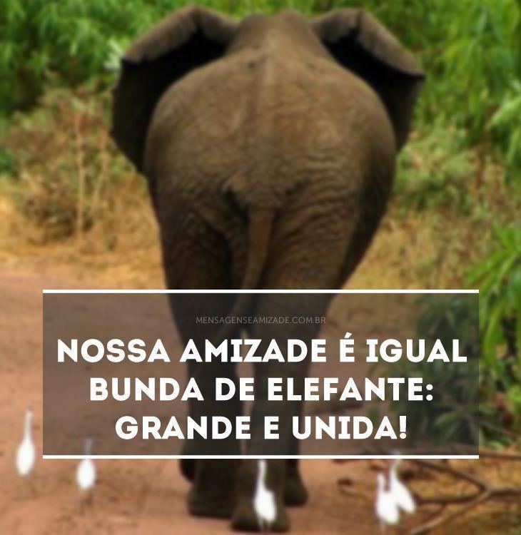 <p>Nossa amizade é igual bunda de elefante: grande e unida!</p>
